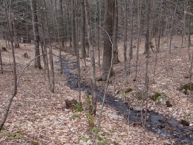 0 South Road South Woodstock, VT 05071 - Photo 23 of 31