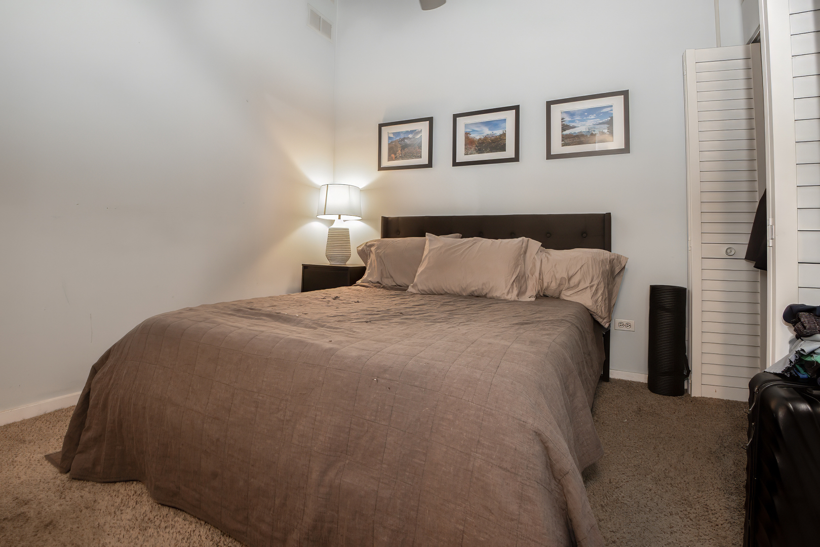 500 South Clinton Street, Unit 251 Chicago, IL 60607 - Photo 12 of 19