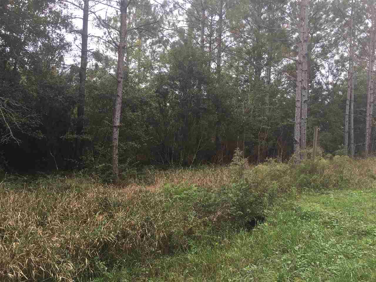20414 Brinks Willis Road Foley, AL 36535 - Photo 1 of 7