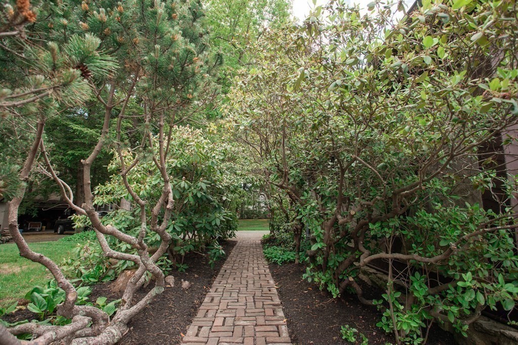 17 Longview Road Reading, MA 01867 - Photo 36 of 42 a view of a pathway both side of yard