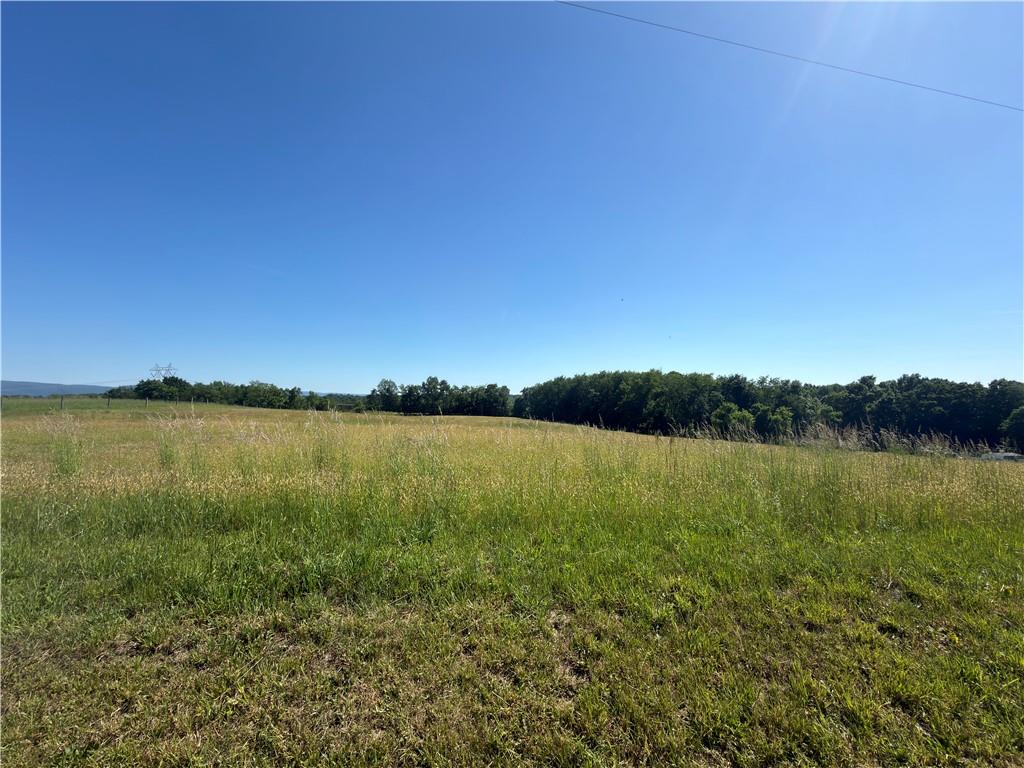187 Sumey Road McClellandtown, PA 15458 - Photo 4 of 11