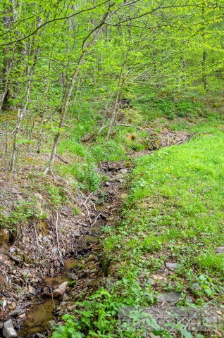 3899-390 Junaluska Road Boone, NC 28607 - Photo 6 of 14