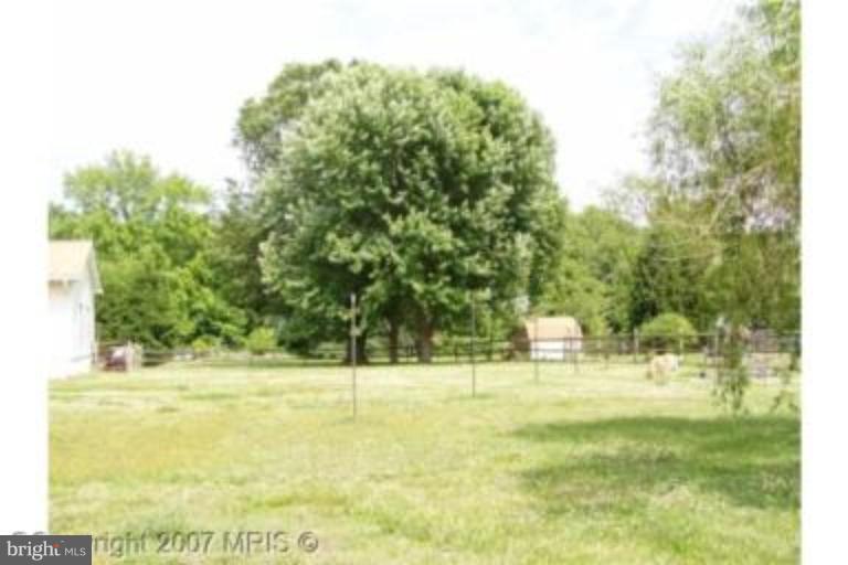 lot of space in back yard