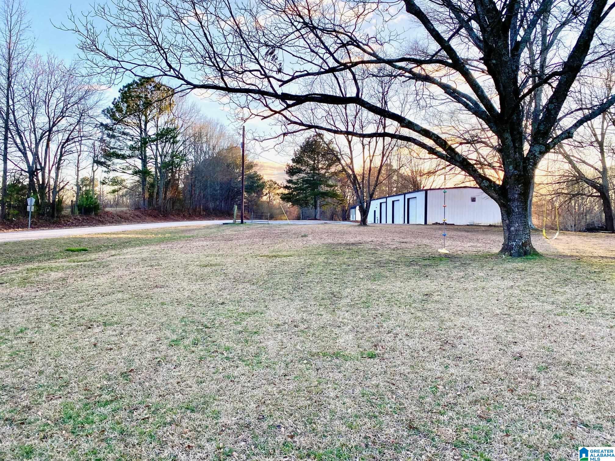 14715 County Road 10 Ranburne, AL 36273 - Photo 9 of 37