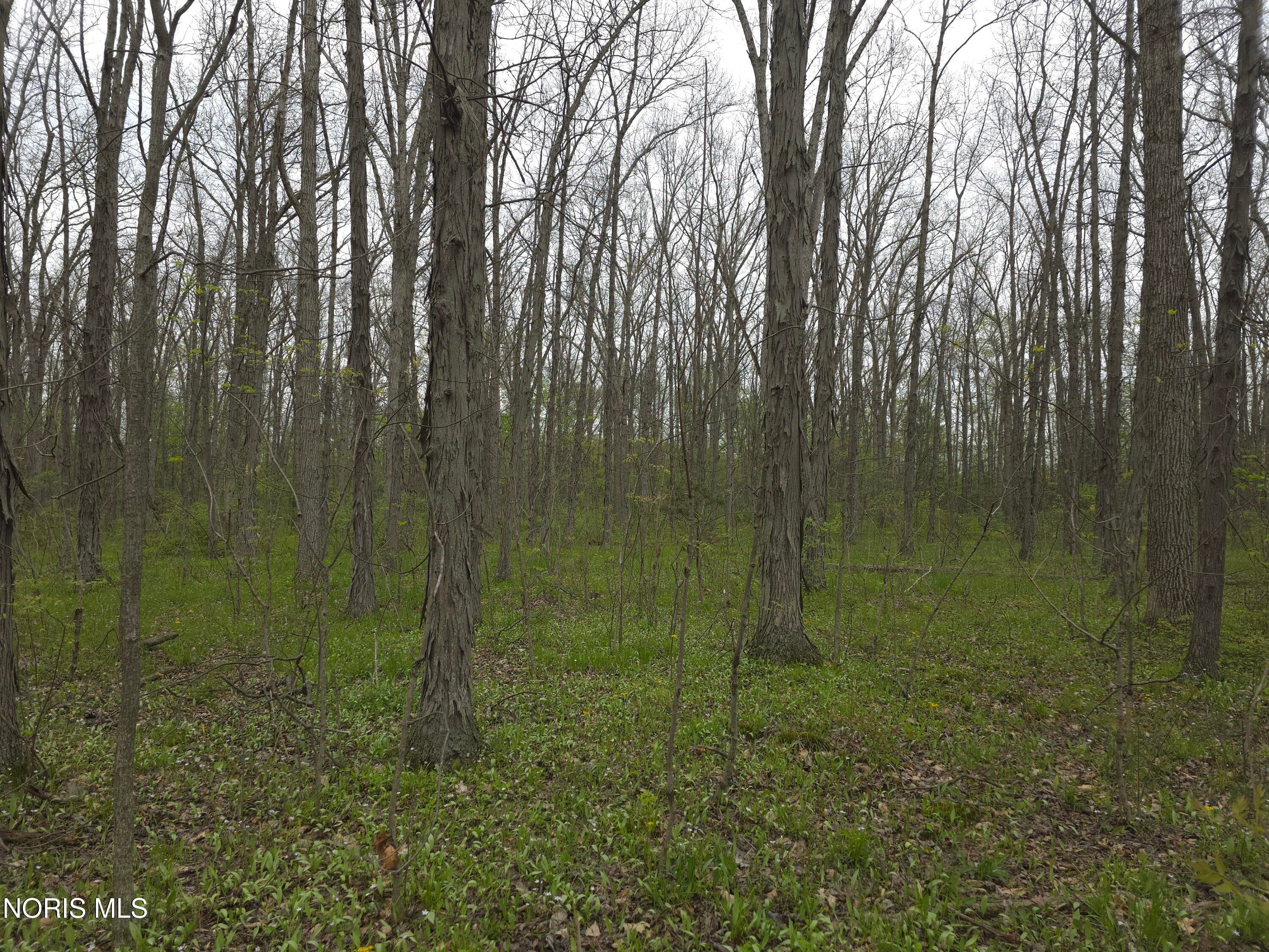 21549 Bowman Road Defiance, OH 43512 - Photo 4 of 5 20260427_141633