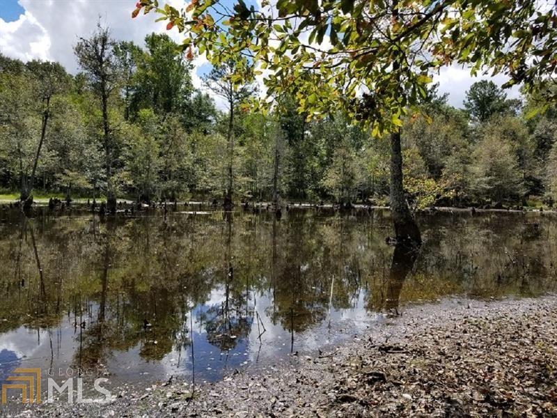 0 Suggs Mill Butler, GA 31006 - Photo 1 of 1