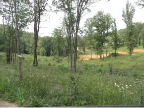 455 Statem Gap Road Morristown, TN 37813 - Photo 8 of 12 Photo 8