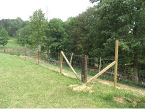 455 Statem Gap Road Morristown, TN 37813 - Photo 9 of 12 Photo 9