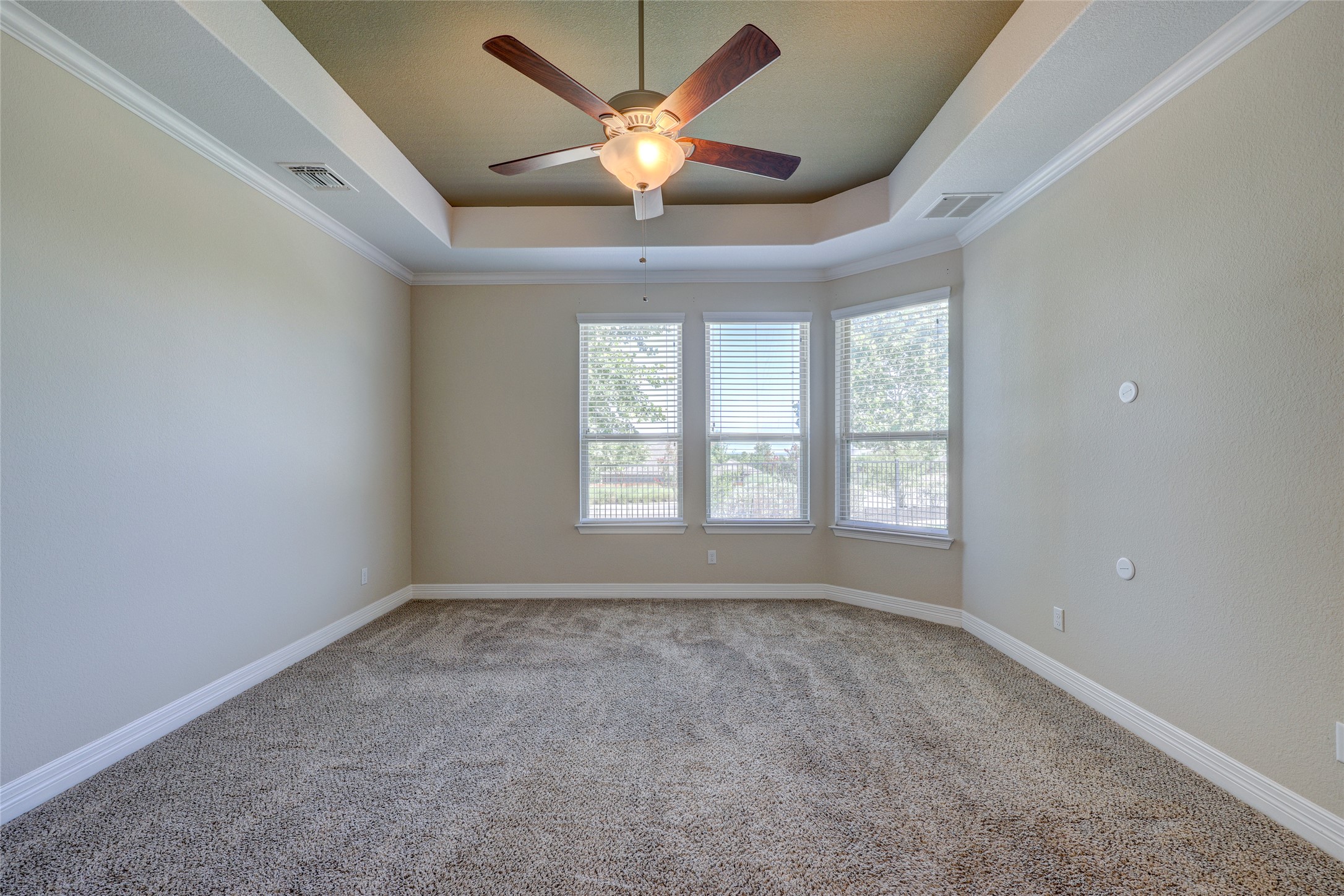 409 Betony Loop Buda, TX 78610 - Photo 16 of 38 A spacious bedroom features plush carpeting and a modern ceiling fan, complemented by ample natural light through multiple windows.