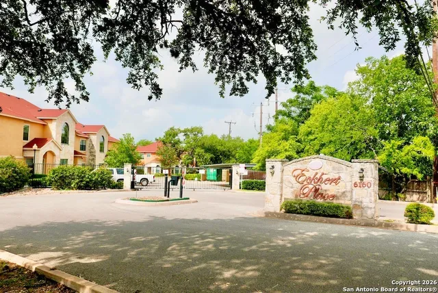 a street view with large trees
