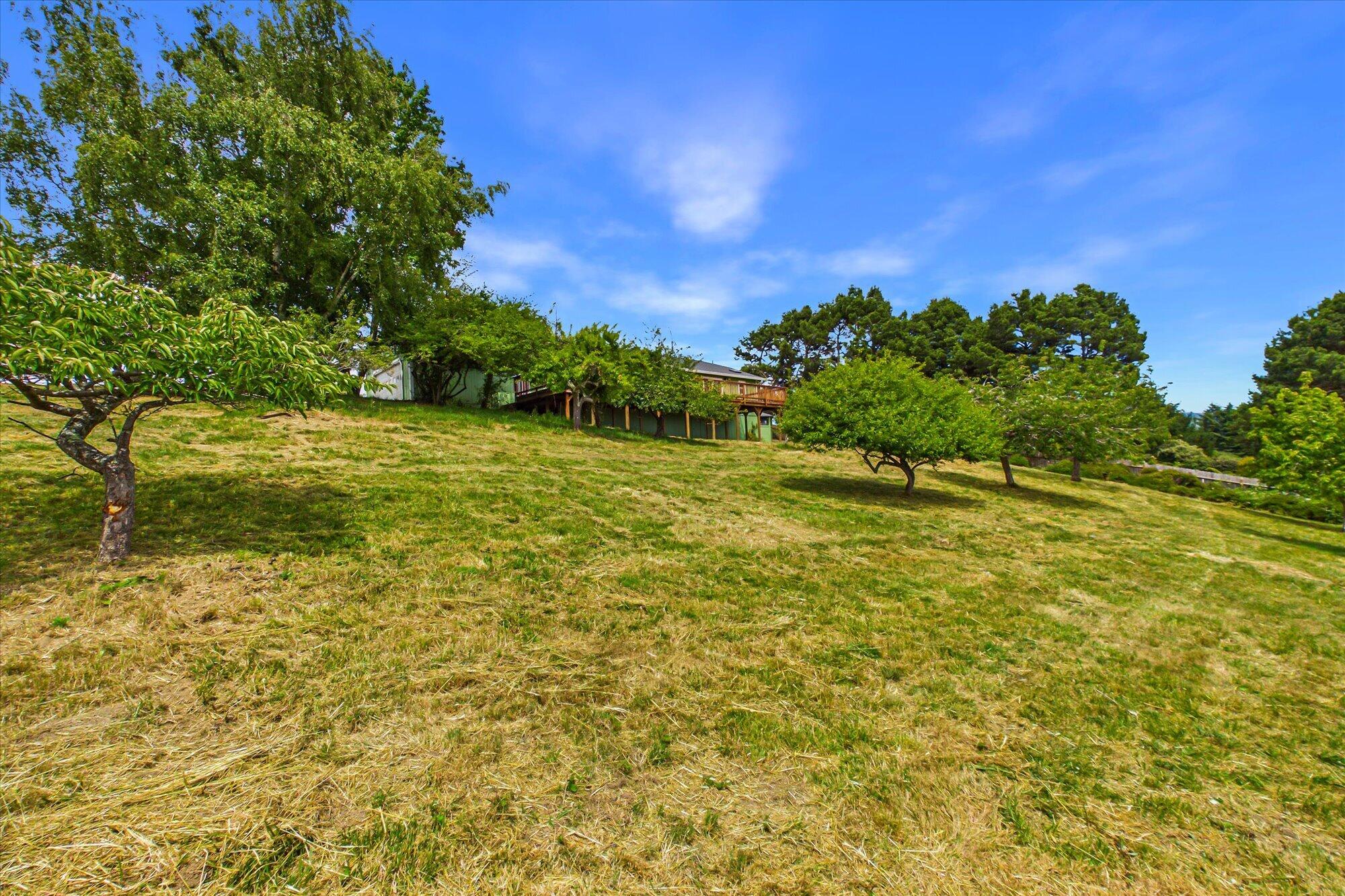 6705 Rohnerville Road Hydesville, CA 95547 - Photo 52 of 54