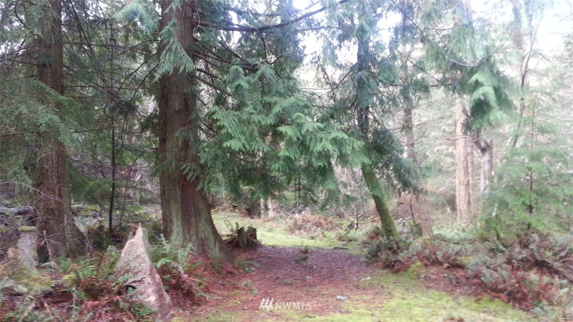 37 Thatcher Pass Road Anacortes, WA 98221 - Photo 3 of 8