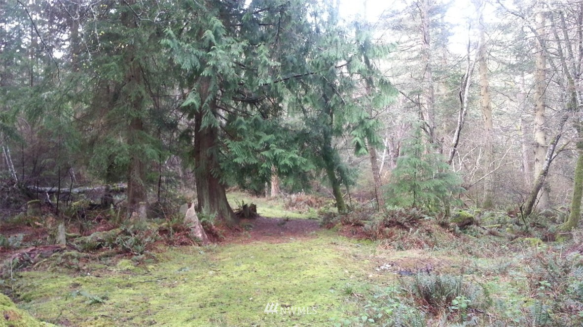 37 Thatcher Pass Road Anacortes, WA 98221 - Photo 4 of 8