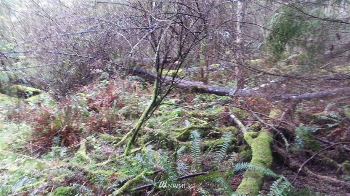 37 Thatcher Pass Road Anacortes, WA 98221 - Photo 6 of 8