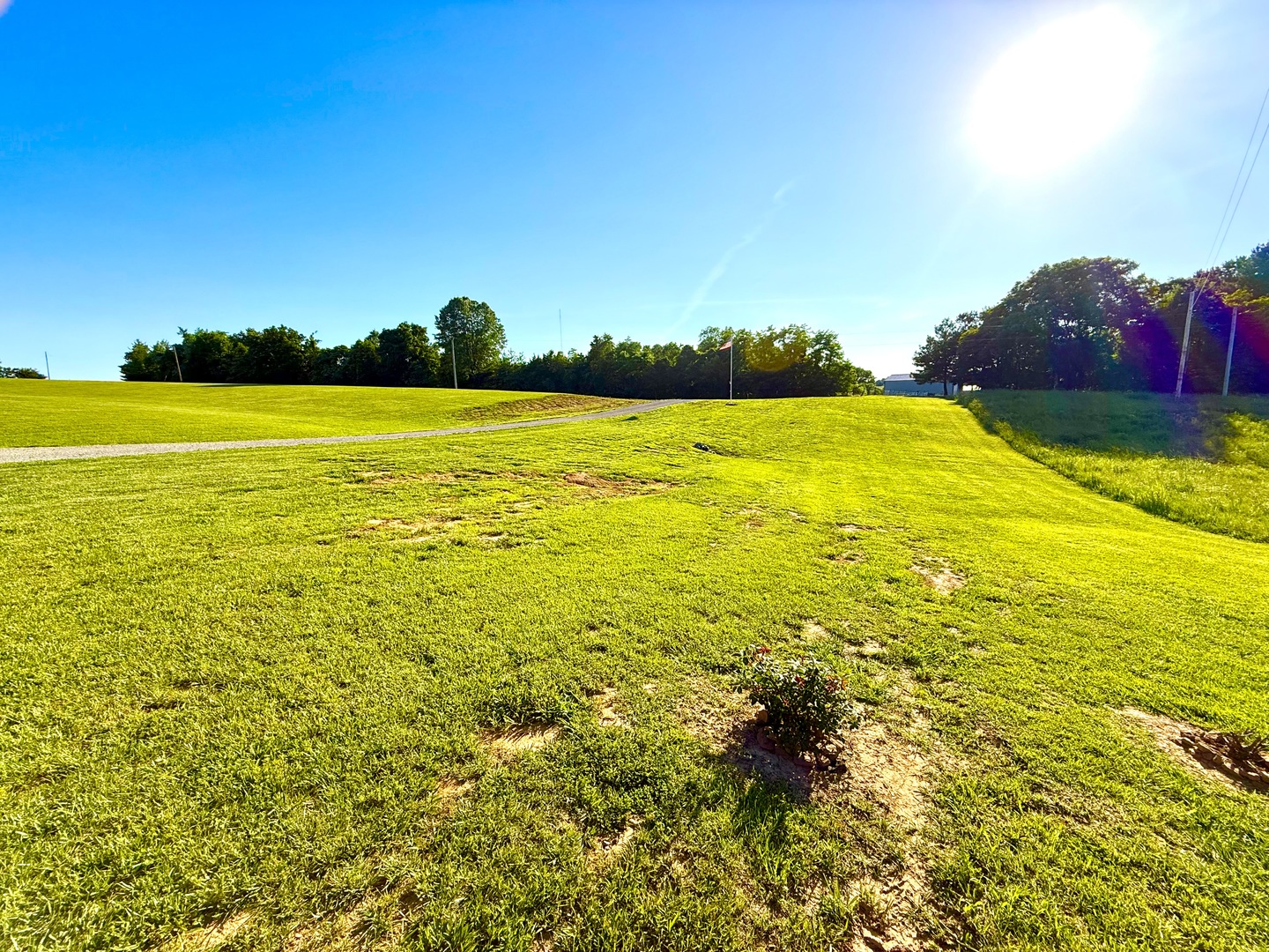 3495 Friendship Loop Goreville, IL 62939 - Photo 24 of 27