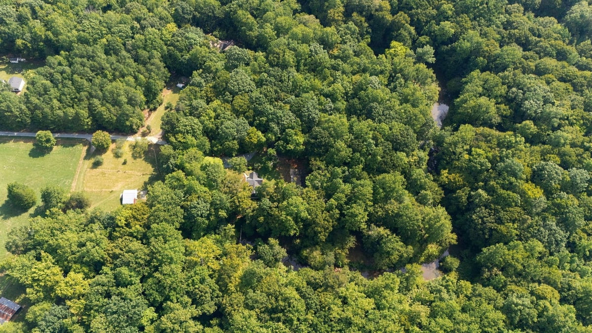 4592 Boogaboo Trail Rougemont, NC 27572 - Photo 45 of 53 23-web-or-mls-DJI_20260918111859_0531_D_896.jpg