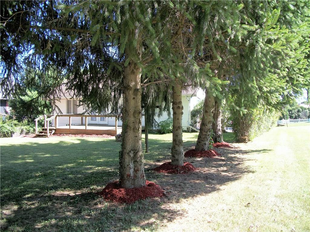 2094 Loucks Road Scottdale, PA 15683 - Photo 17 of 18 Tree lined backyard