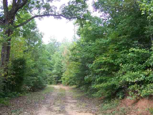 615 Simms Mill Road Liberty, SC 29657 - Photo 11 of 12