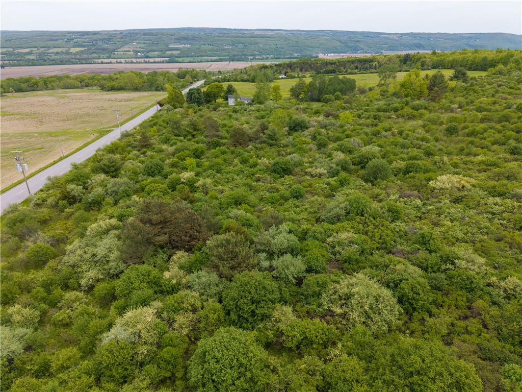 Rock Spring Hill Road Dansville, NY 14437 - Photo 16 of 20