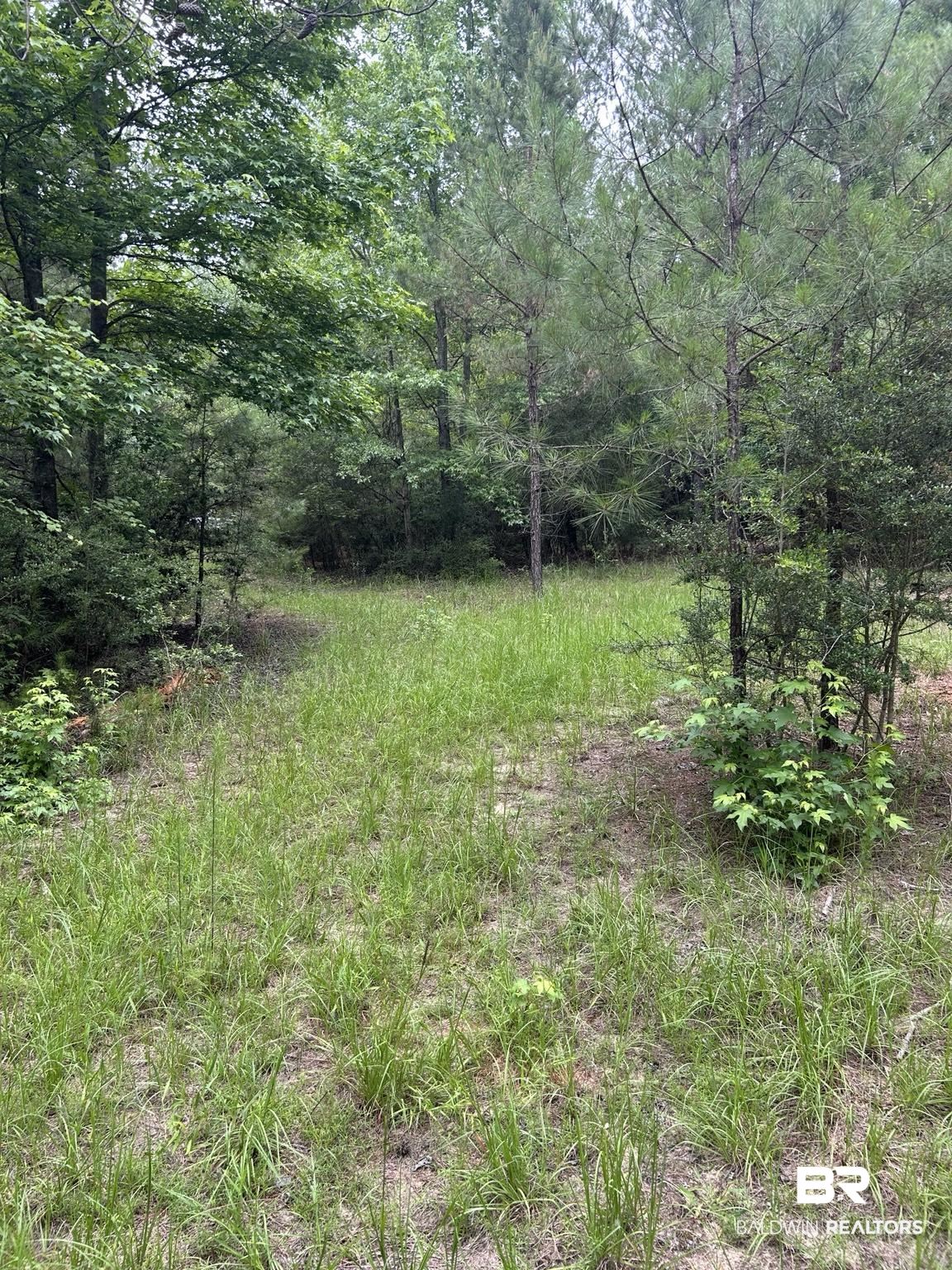 37 Brewton Al Wing, AL 36483 - Photo 2 of 4