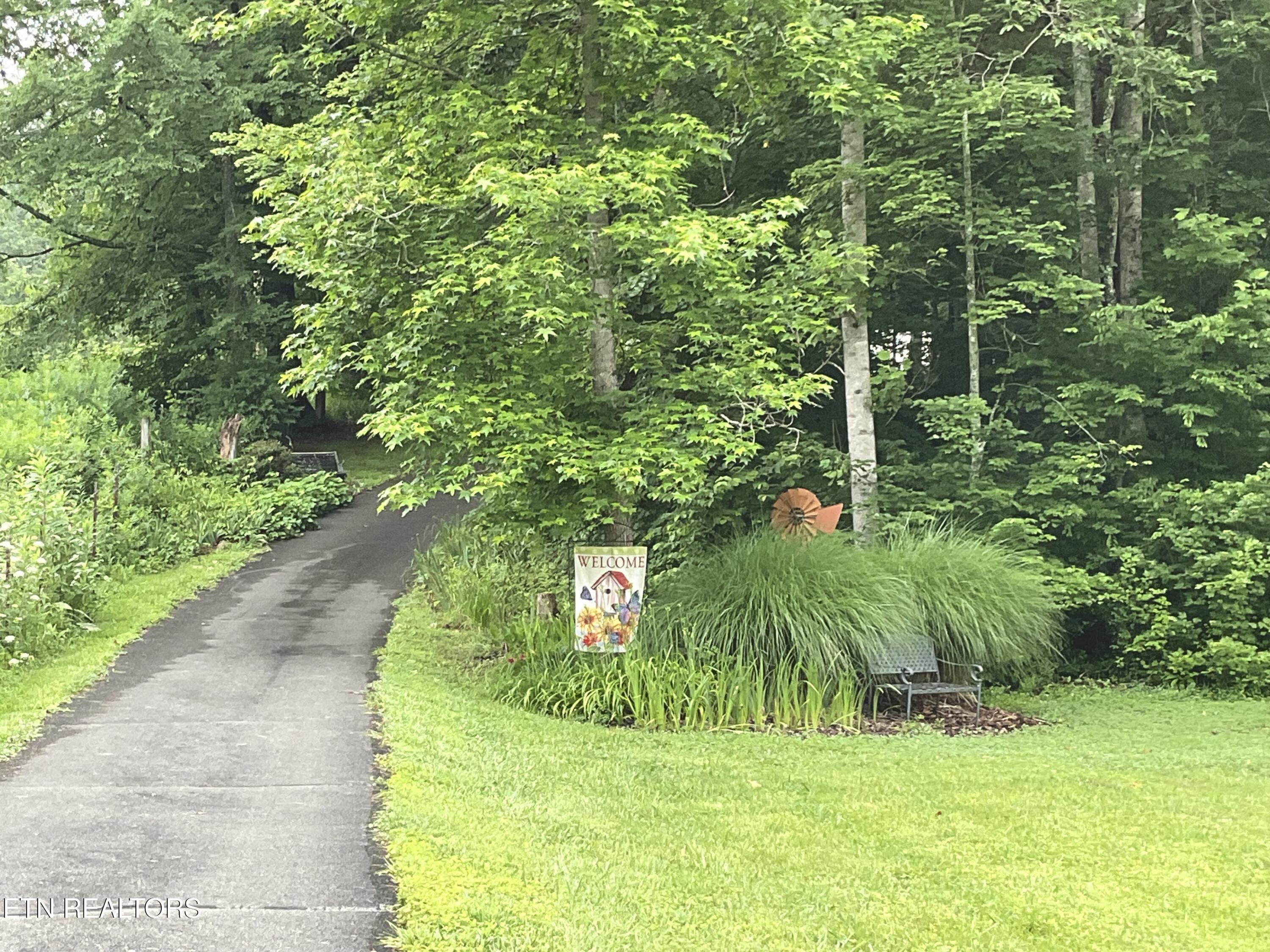 630-632 Bush Road Clinton, TN 37716 - Photo 2 of 47 Winding driveway