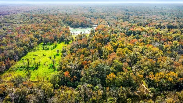 an aerial view of residential house with green space and mountain view in back