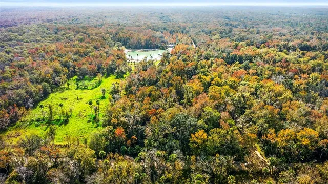 an aerial view of residential house with green space and mountain view in back