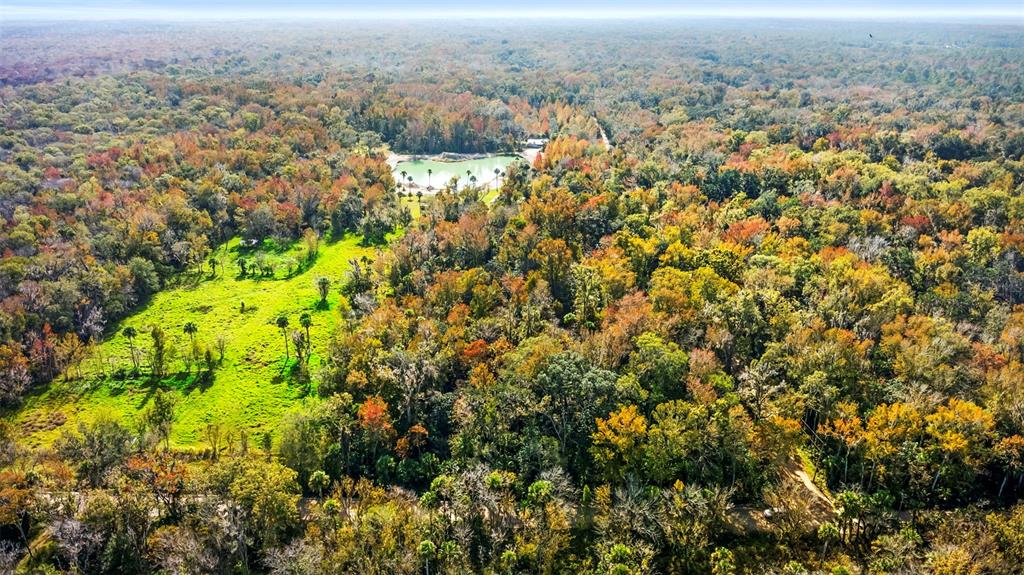 an aerial view of residential house with green space and mountain view in back