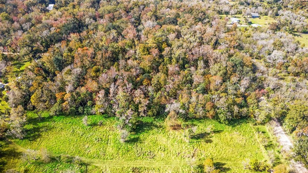 Volco Road Edgewater, FL 32141 - Photo 11 of 16 a view of a yard