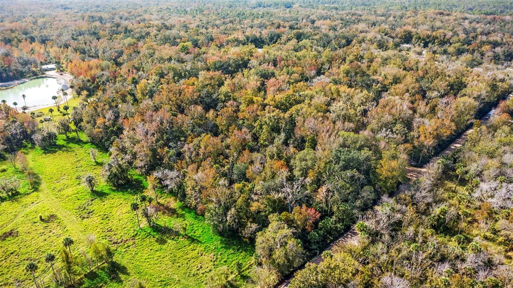 Volco Road Edgewater, FL 32141 - Photo 12 of 16