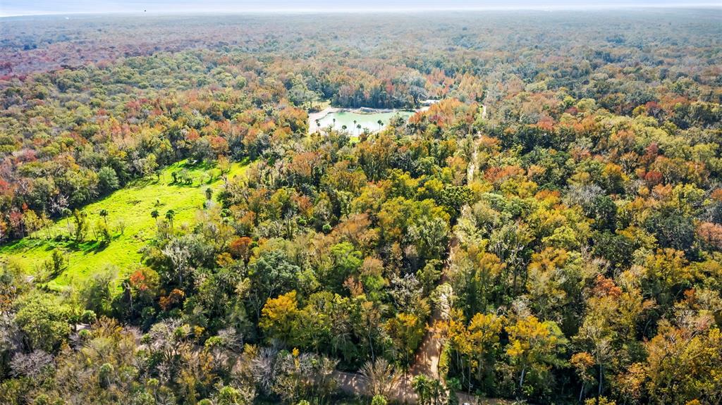 Volco Road Edgewater, FL 32141 - Photo 14 of 16 an aerial view of residential house with green space and fog