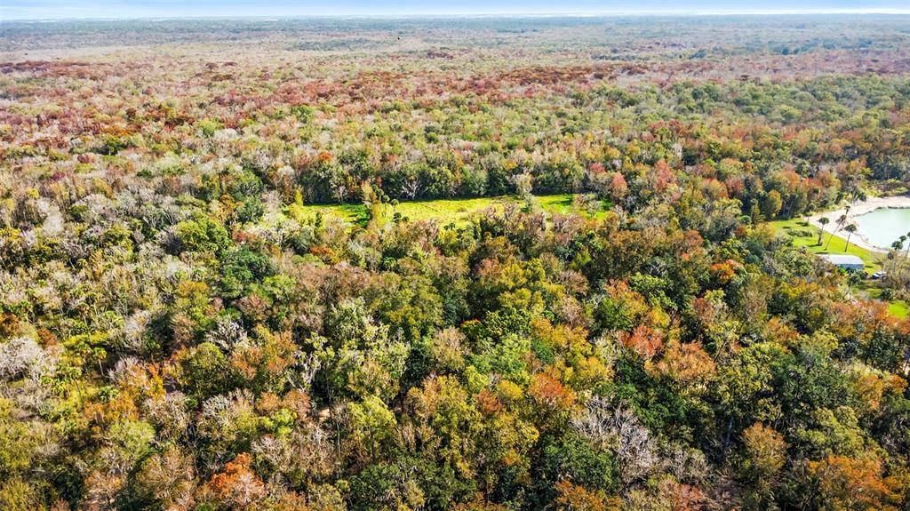 Volco Road Edgewater, FL 32141 - Photo 3 of 16 an aerial view of residential houses with outdoor space and trees