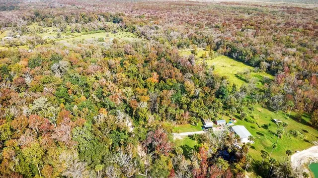 a view of a yard with green space