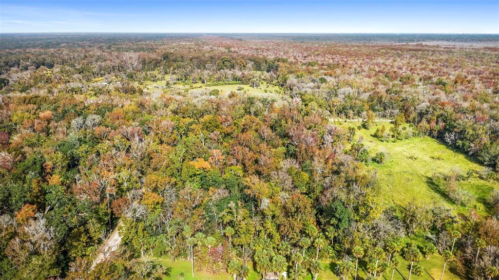 Volco Road Edgewater, FL 32141 - Photo 8 of 16 an aerial view of residential houses with outdoor space