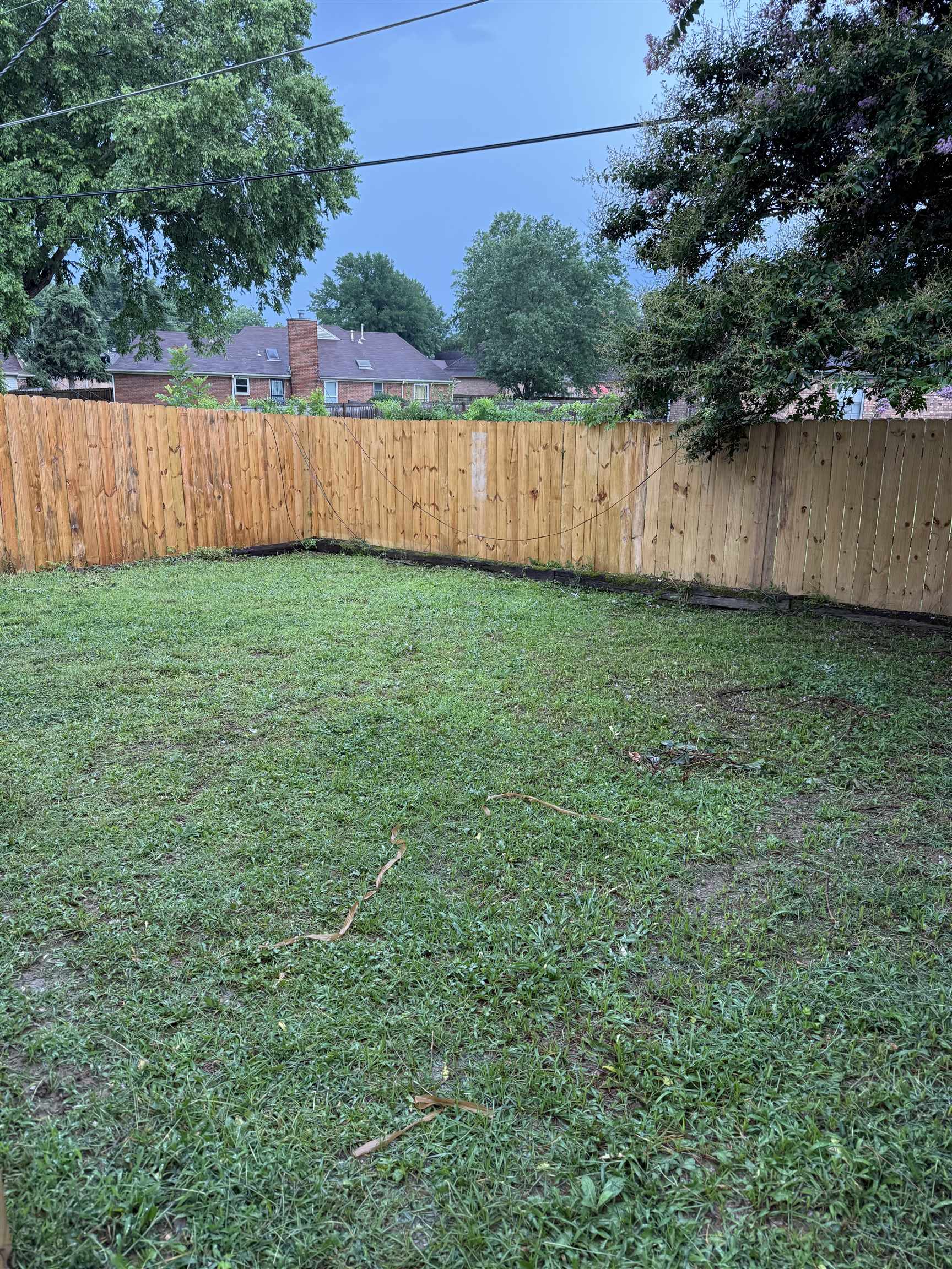 6913 Snyder Road Memphis, TN 38141 - Photo 12 of 20 Expansive grassy yard featuring a new privacy fence