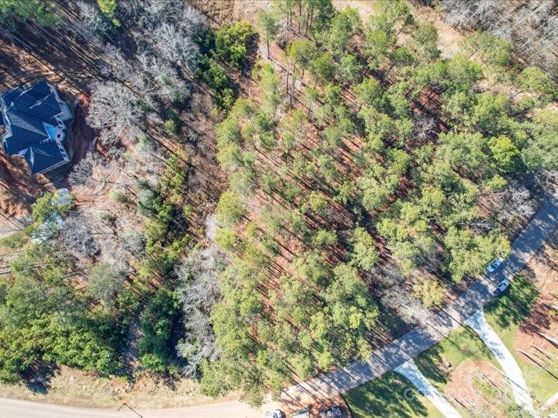8090 Gulf Crk Road, Unit 56 Lancaster, SC 29720 - Photo 16 of 35 a view of a forest with a tree