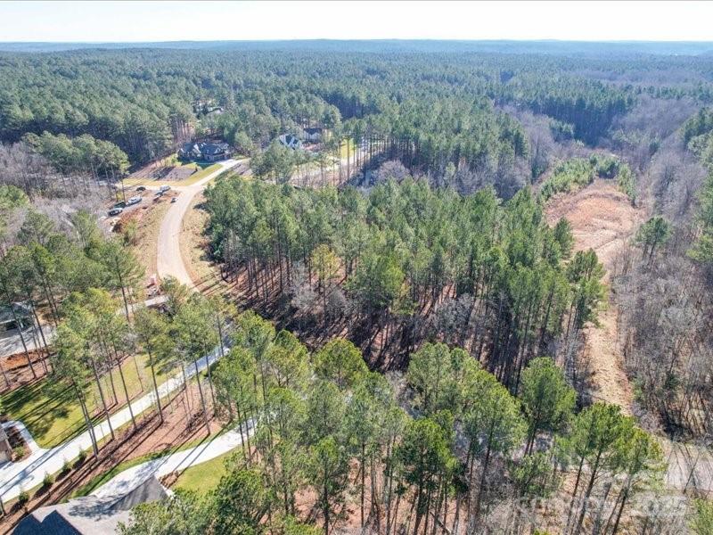 8090 Gulf Crk Road, Unit 56 Lancaster, SC 29720 - Photo 20 of 35 a view of a forest with a lush green forest