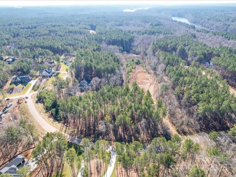 8090 Gulf Crk Road, Unit 56 Lancaster, SC 29720 - Photo 24 of 35 a view of a lush green forest with lots of trees