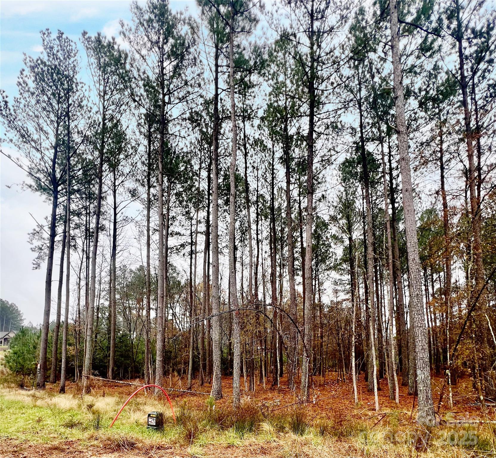 8090 Gulf Crk Road, Unit 56 Lancaster, SC 29720 - Photo 25 of 35 a view of yard with tree in front of it