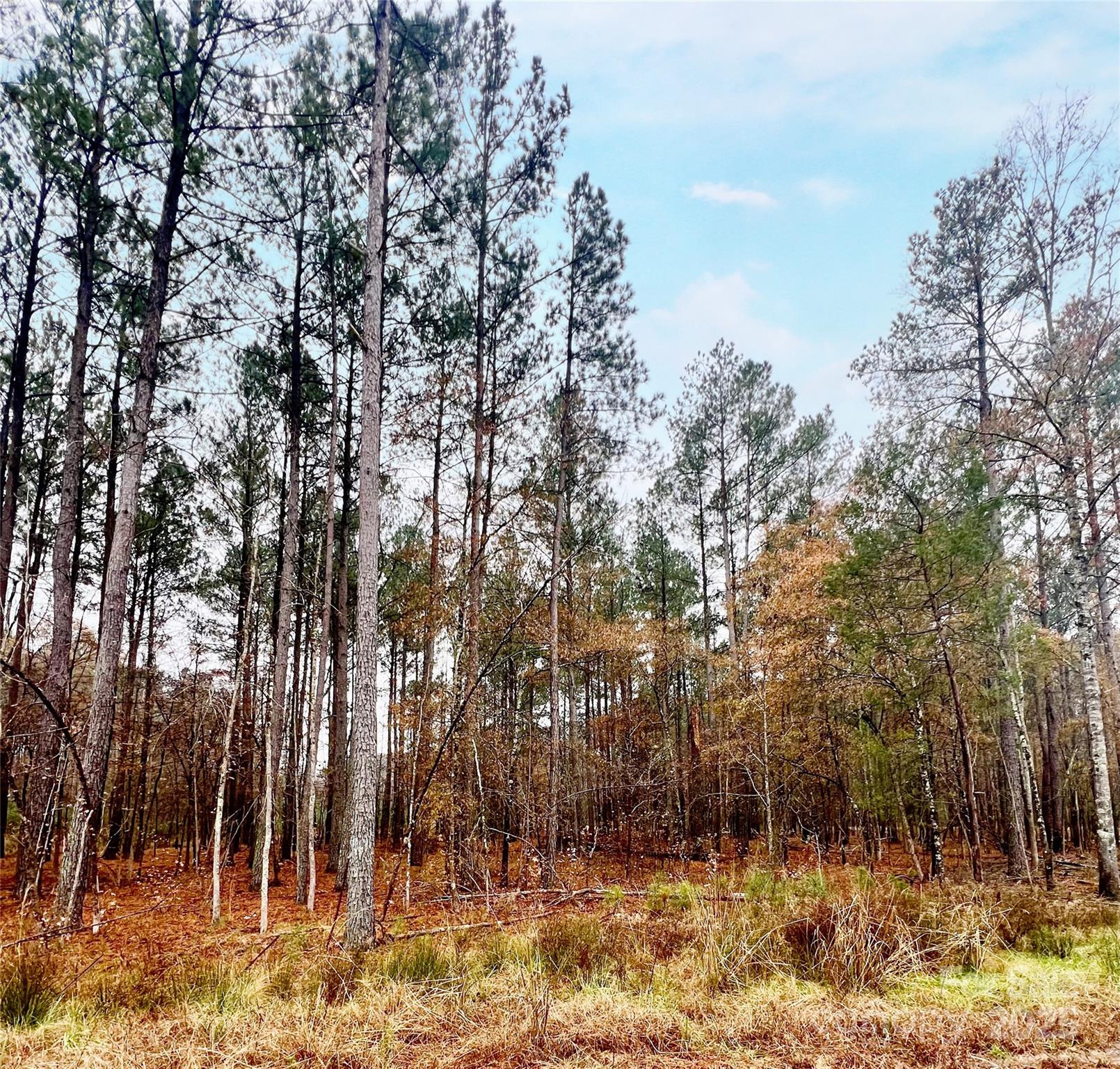 8090 Gulf Crk Road, Unit 56 Lancaster, SC 29720 - Photo 26 of 35 a view of outdoor space yard and tree