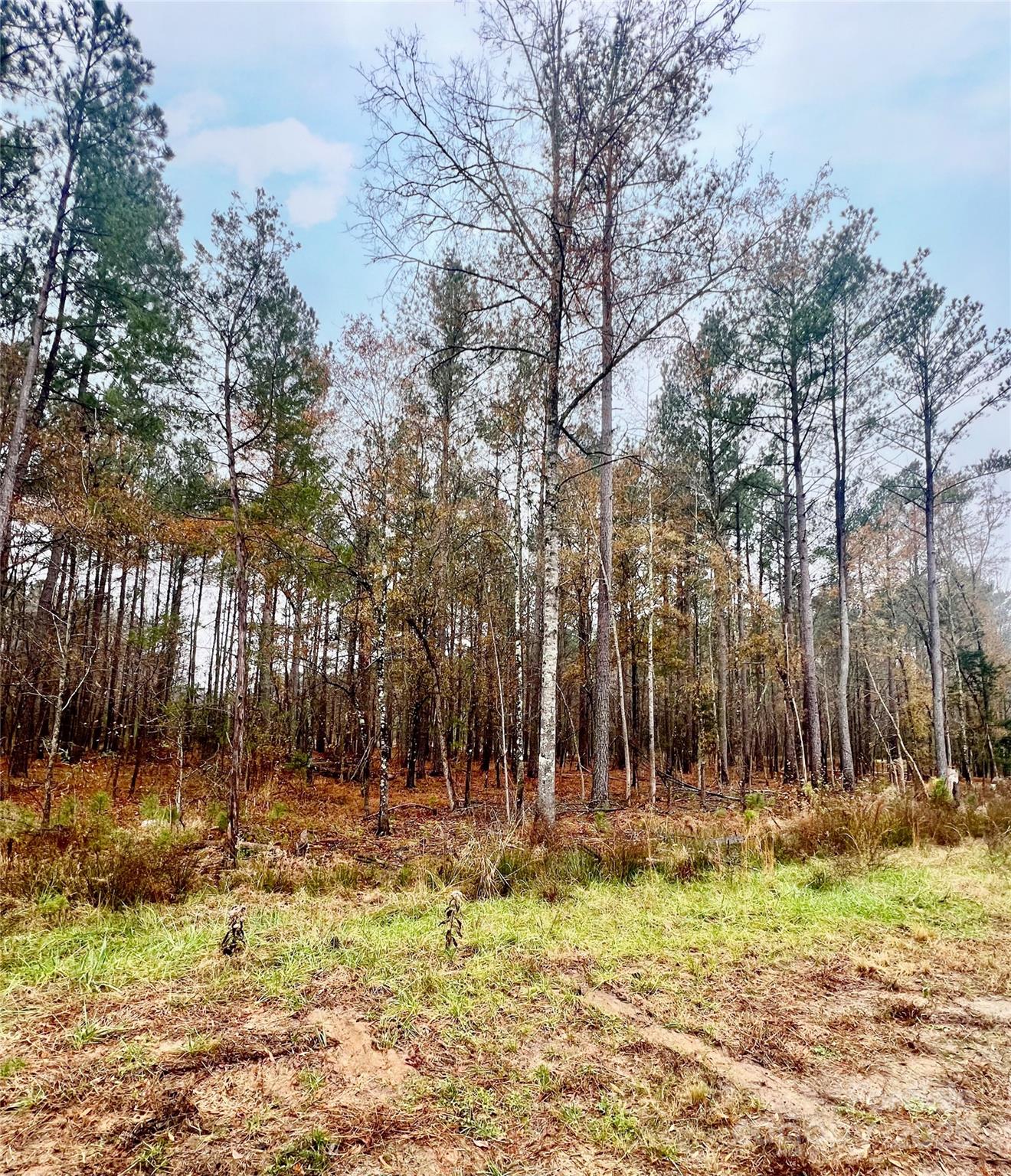 8090 Gulf Crk Road, Unit 56 Lancaster, SC 29720 - Photo 27 of 35 a view of outdoor space with trees