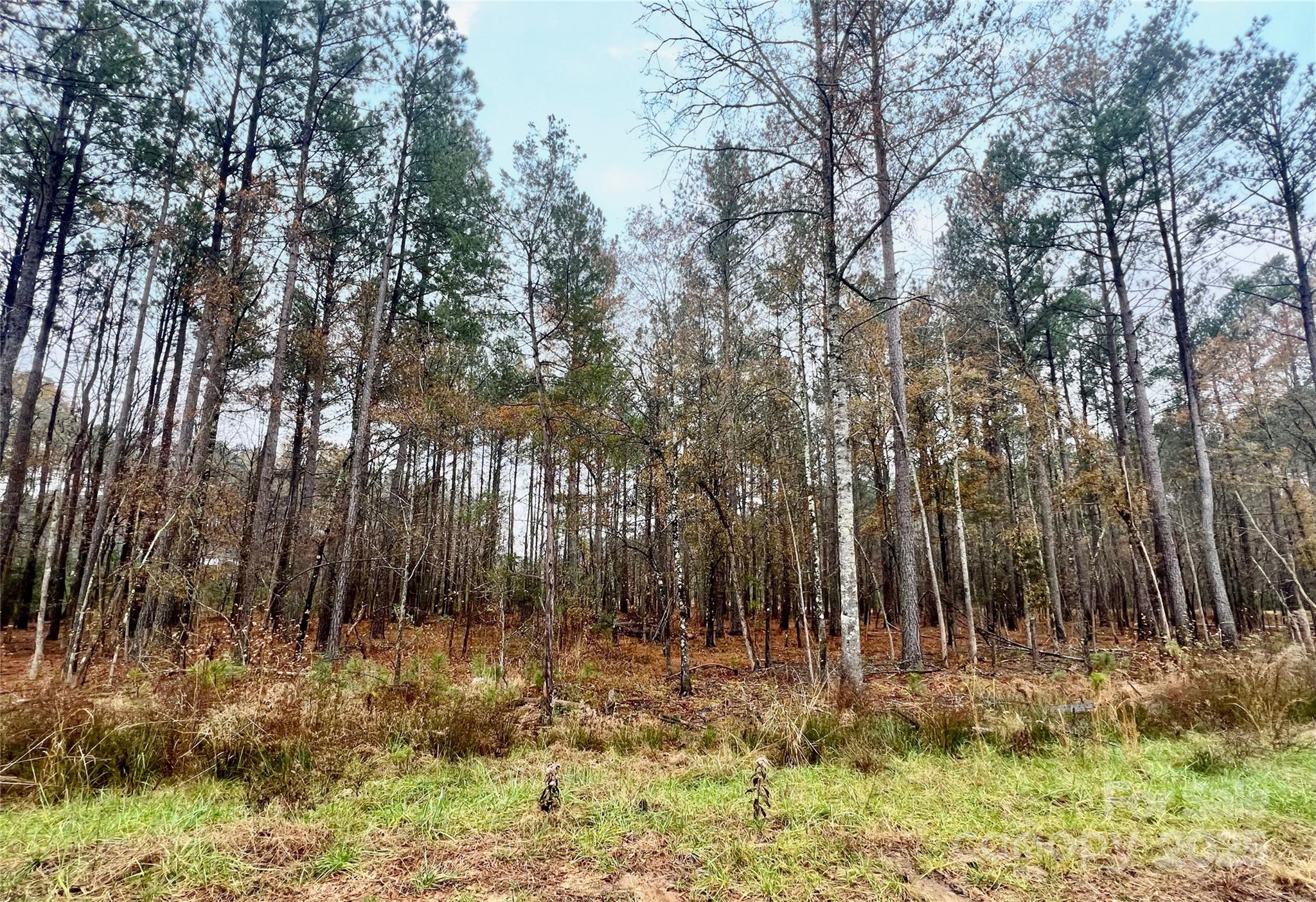 8090 Gulf Crk Road, Unit 56 Lancaster, SC 29720 - Photo 28 of 35 a backyard of a house with lots of green space