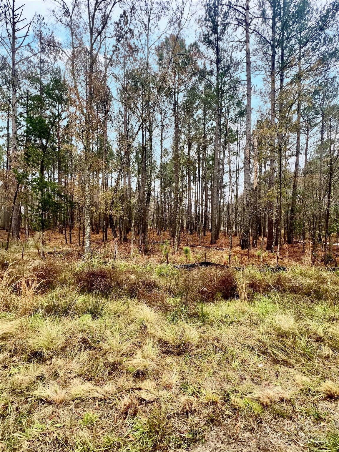 8090 Gulf Crk Road, Unit 56 Lancaster, SC 29720 - Photo 29 of 35 a view of outdoor space with trees