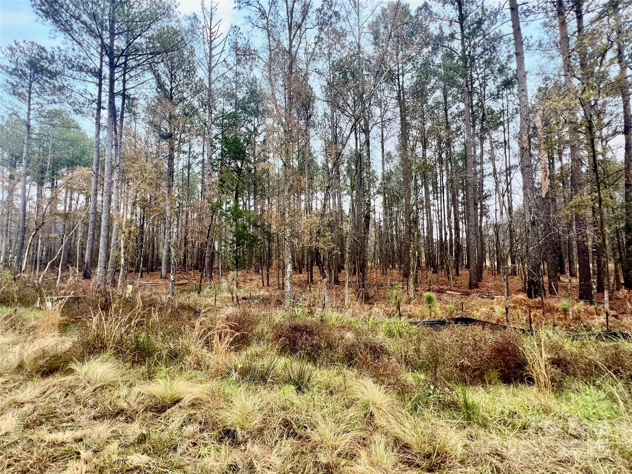 8090 Gulf Crk Road, Unit 56 Lancaster, SC 29720 - Photo 30 of 35 a view of outdoor space with trees