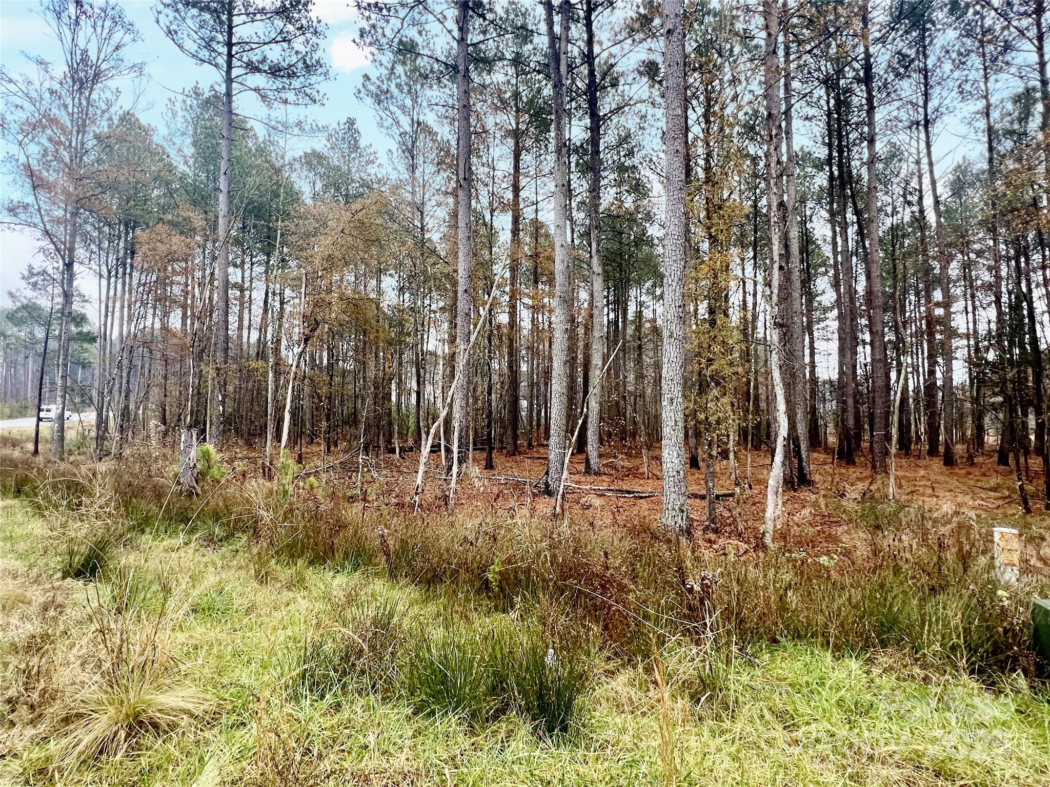 8090 Gulf Crk Road, Unit 56 Lancaster, SC 29720 - Photo 31 of 35 a view of backyard with green space