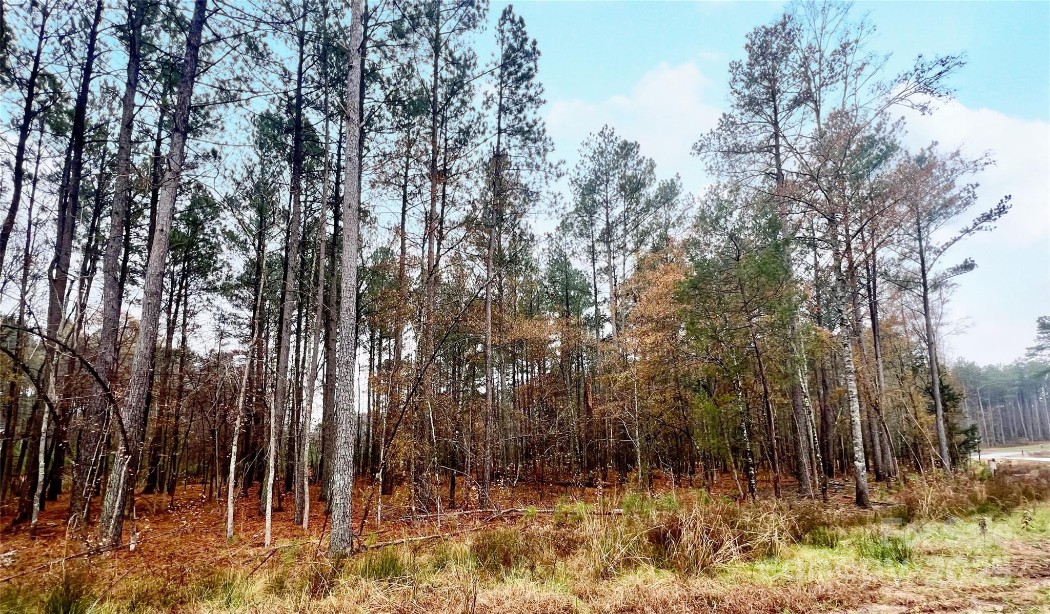 8090 Gulf Crk Road, Unit 56 Lancaster, SC 29720 - Photo 32 of 35 a view of backyard space