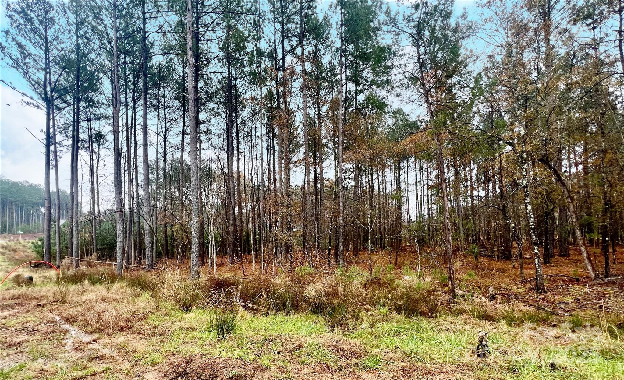 8090 Gulf Crk Road, Unit 56 Lancaster, SC 29720 - Photo 33 of 35 a backyard of a house with large trees