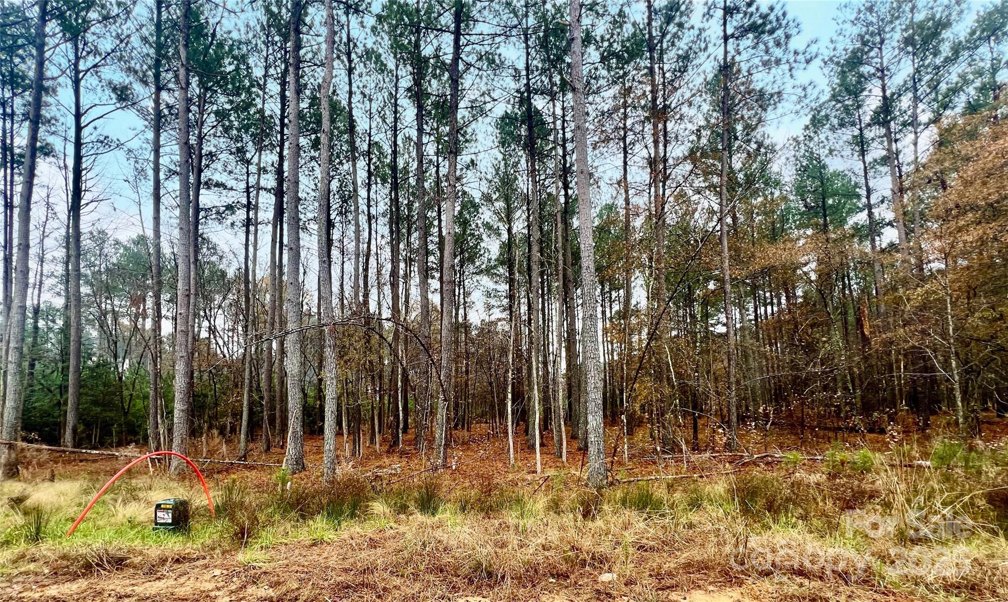 8090 Gulf Crk Road, Unit 56 Lancaster, SC 29720 - Photo 34 of 35 a view of outdoor space with trees
