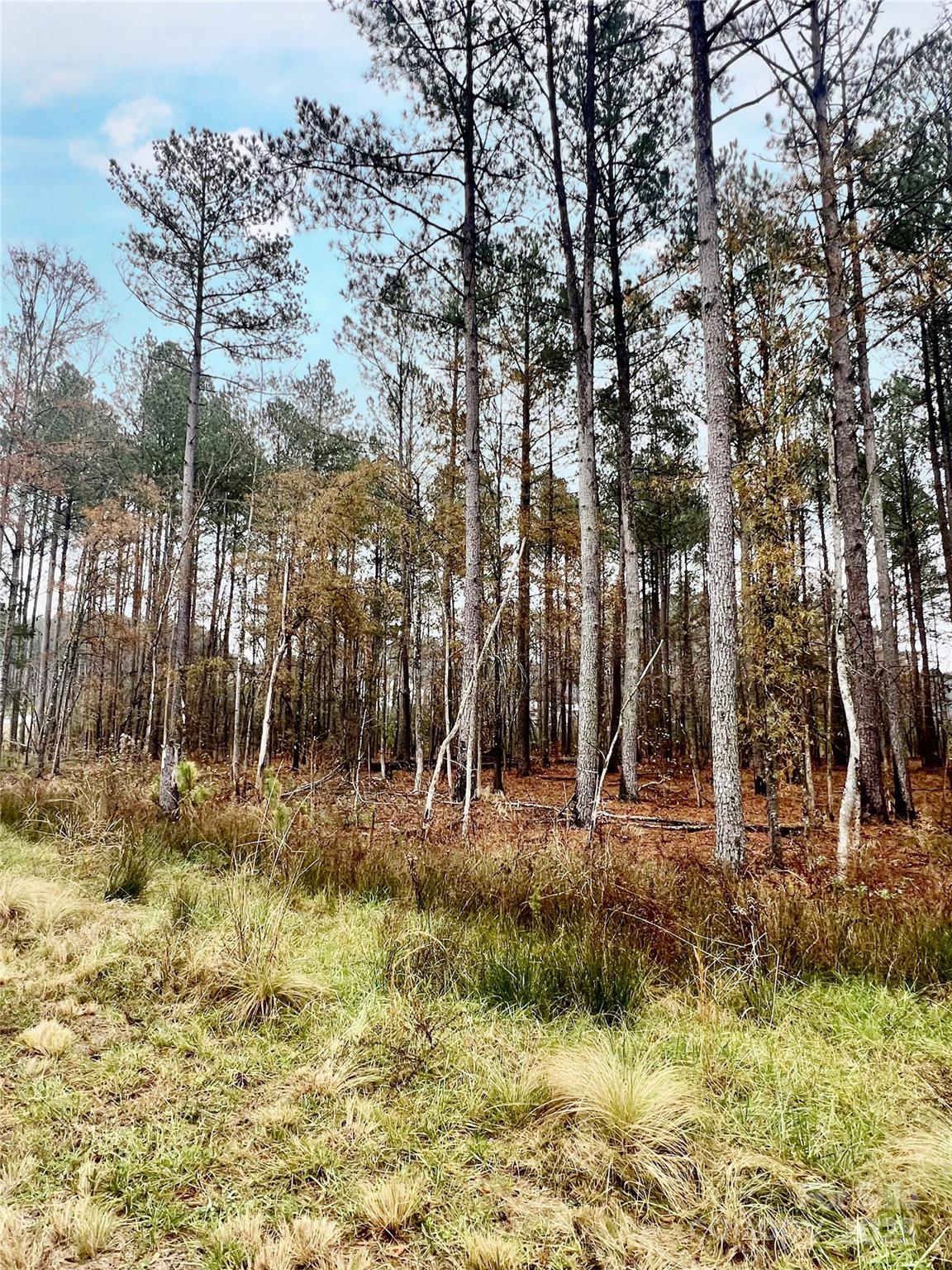 8090 Gulf Crk Road, Unit 56 Lancaster, SC 29720 - Photo 35 of 35 a backyard of apartments with large trees