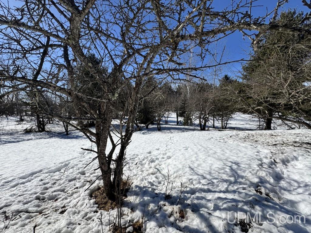 Tbd Bellaire Road Baraga, MI 49908 - Photo 4 of 20